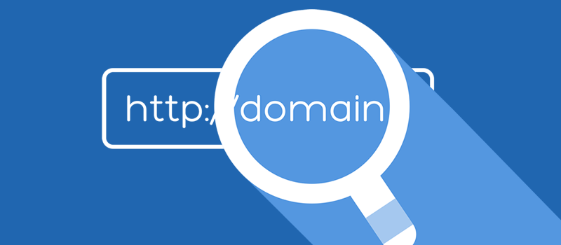 Premium Domain & Priority Website Management — Annual Plan